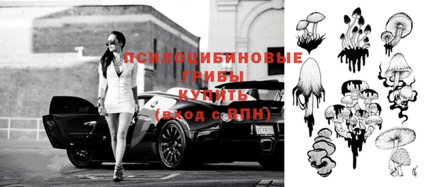 мет Балахна